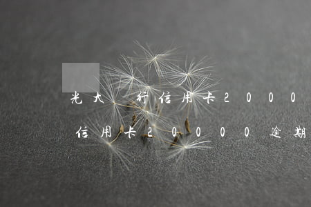 光大銀行信用卡20000逾期-光大銀行信用卡20000逾期十天利息多少