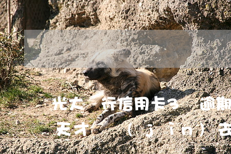 光大銀行信用卡3萬逾期(光大信用卡逾期3天才還進(jìn)去會(huì)怎么樣)