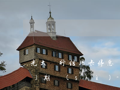 光大銀行信用卡停息掛賬最長(zhǎng)期數(shù)-光大銀行停息掛賬最高能分幾期