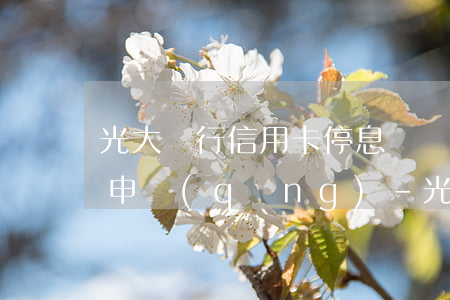 光大銀行信用卡停息掛賬網(wǎng)上申請(qǐng)-光大申請(qǐng)停息掛賬流程