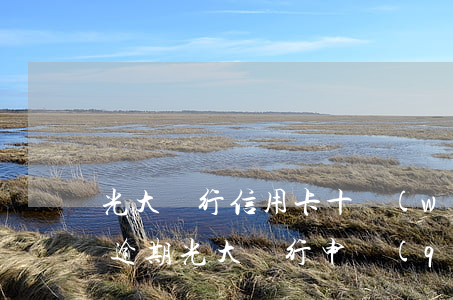 光大銀行信用卡十萬(wàn)額度逾期(有逾期光大銀行申請(qǐng)信用卡能通過(guò)嗎)