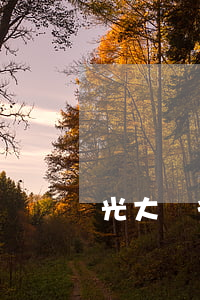 光大銀行信用卡官網(wǎng)
