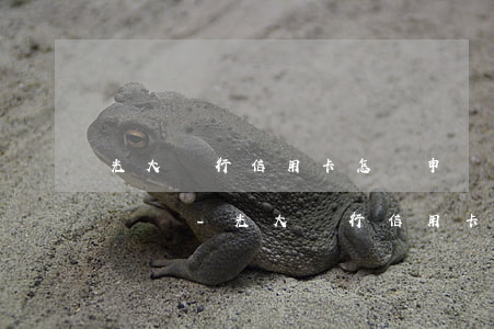 光大銀行信用卡怎樣申請(qǐng)停息掛賬-光大銀行信用卡怎樣申請(qǐng)停息掛賬業(yè)務(wù)
