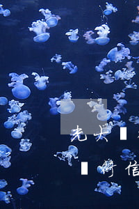 光大銀行信用卡未逾期協(xié)商(光大銀行信用卡未逾期協(xié)商還款)