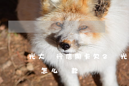 光大銀行信用卡欠2萬(光大銀行信用卡欠2萬怎么還款)