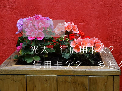 光大銀行信用卡欠2萬多怎么辦-光大銀行信用卡欠2萬多怎么辦理