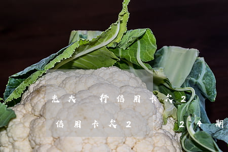 光大銀行信用卡欠2萬還24期-光大銀行信用卡欠2萬還24期利息多少