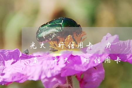 光大銀行信用卡無力償還怎么協(xié)商-光大銀行信用卡還不上怎么協(xié)商