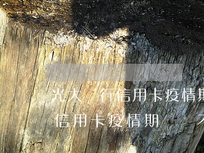 光大銀行信用卡疫情期間還不上-光大銀行信用卡疫情期間還不上怎么辦