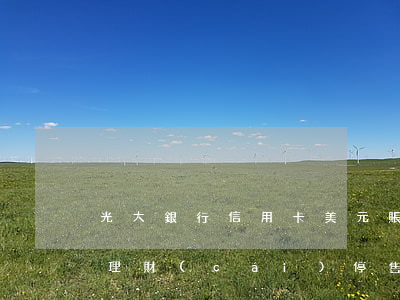 光大銀行信用卡美元賬戶逾期 光大銀行美元理財(cái)停售