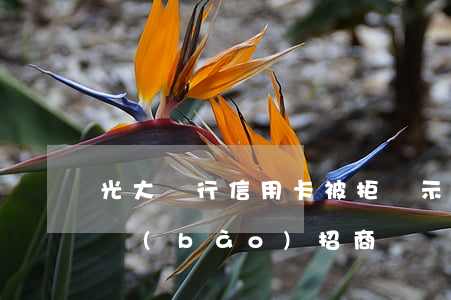 光大銀行信用卡 被拒 顯示（光大信用卡逾期上報(bào)招商）