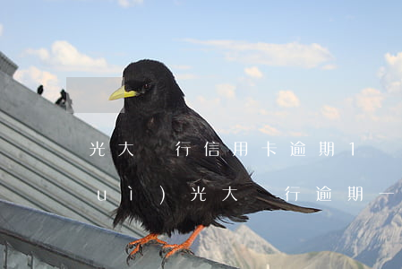 光大銀行信用卡逾期1個(gè)月會(huì)(光大銀行逾期一周)