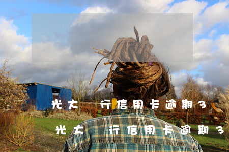光大銀行信用卡逾期3個(gè)月利息-光大銀行信用卡逾期3個(gè)月利息怎么算