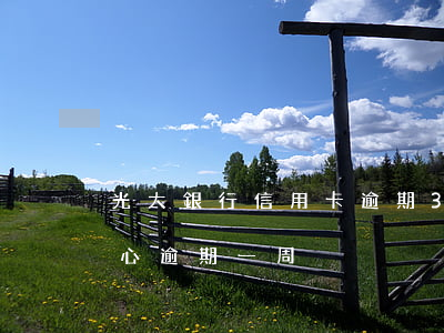 光大銀行信用卡逾期3整天-光大銀行不小心逾期一周