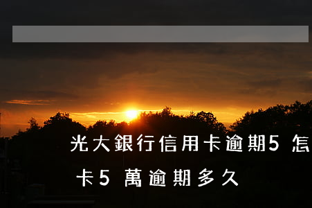 光大銀行信用卡逾期5怎么辦(光大銀行信用卡5萬逾期多久)