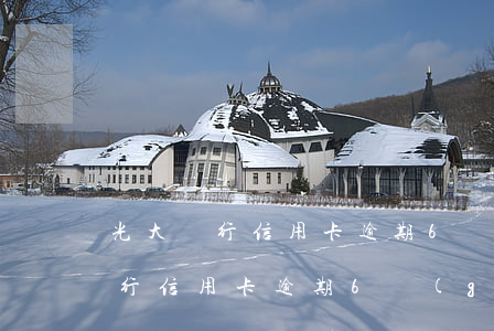 光大銀行信用卡逾期6個(gè)月(光大銀行信用卡逾期6個(gè)月,銀行打電話說可以分期還本金)