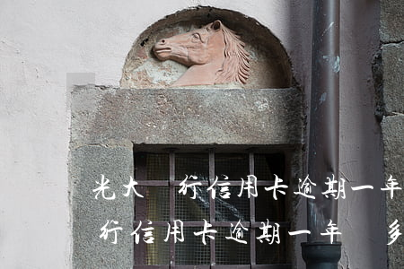 光大銀行信用卡逾期一年還多少錢-光大銀行信用卡逾期一年還多少錢利息