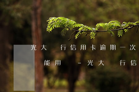 光大銀行信用卡逾期一次性結(jié)清還能用嗎-光大銀行信用卡逾期一次性結(jié)清還能用嗎