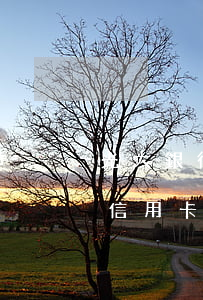 光大銀行信用卡逾期一般多久起訴（光大銀行信用卡逾期一般多久起訴）