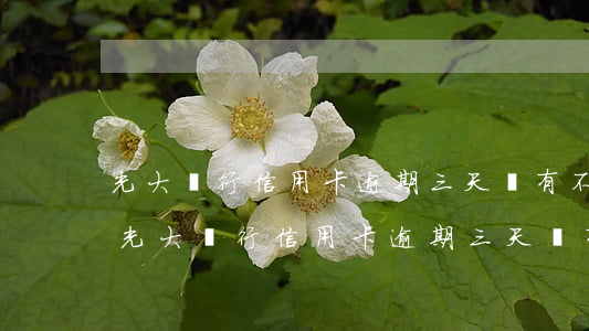 光大銀行信用卡逾期三天會有不良記錄嗎-光大銀行信用卡逾期三天會有不良記錄嗎