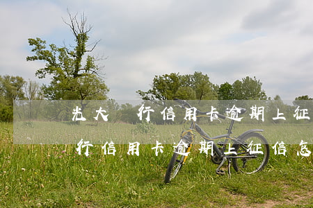 光大銀行信用卡逾期上征信怎么辦-光大銀行信用卡逾期上征信怎么辦啊