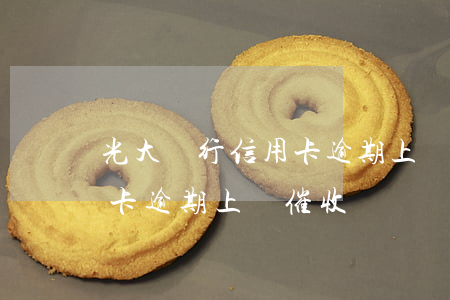 光大銀行信用卡逾期上門催收(光大銀行信用卡逾期上門催收電話)