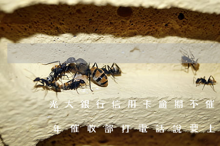光大銀行信用卡逾期不催款(光大銀行逾期半年催收部打電話說要上訴)