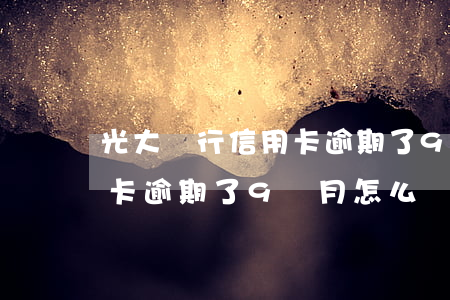 光大銀行信用卡逾期了9個月(光大銀行信用卡逾期了9個月怎么還)
