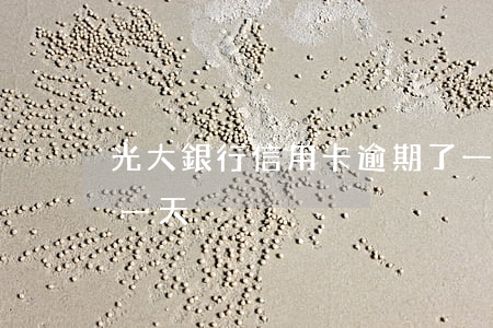 光大銀行信用卡逾期了一次(光大信用卡 逾期一天)