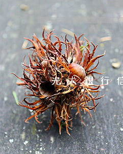 光大銀行信用卡逾期了三天