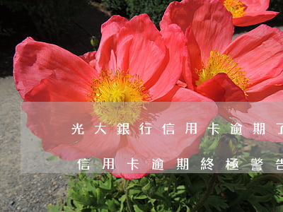 光大銀行信用卡逾期了好幾年了(被光大銀行信用卡逾期終極警告怎么辦?)