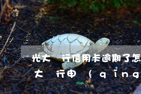 光大銀行信用卡逾期了怎么辦半年 有逾期光大銀行申請(qǐng)信用卡能通過(guò)嗎