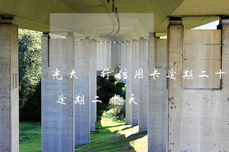 光大銀行信用卡逾期二十天(光大銀行信用卡逾期二十天)