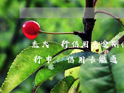光大銀行信用卡逾期什么后果(有逾期光大銀行申請信用卡能通過嗎)