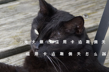 光大銀行信用卡逾期倆天怎么辦-光大銀行信用卡逾期倆天怎么辦理