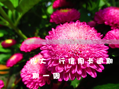 光大銀行信用卡逾期倆月(光大銀行不小心逾期一周)