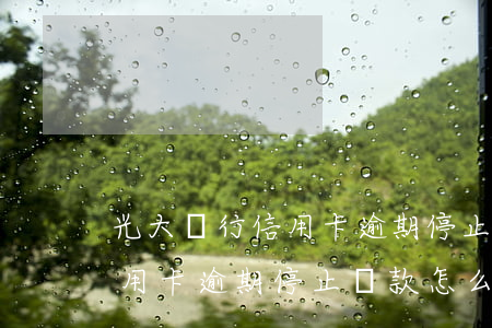 光大銀行信用卡逾期停止還款-光大銀行信用卡逾期停止還款怎么還