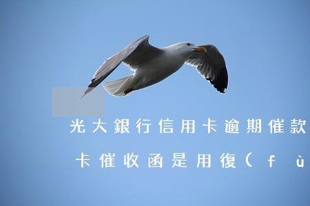 光大銀行信用卡逾期催款函(光大銀行的信用卡催收函是用復(fù)印件的嗎)