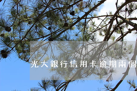 光大銀行信用卡逾期兩個月