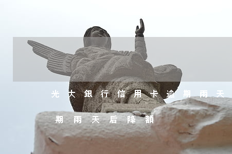 光大銀行信用卡逾期兩天(光大銀行信用卡逾期兩天后降額)