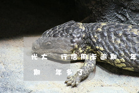 光大銀行信用卡逾期兩年(光大銀行信用卡逾期兩年多了)