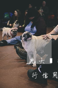 光大銀行信用卡逾期兩年怎么協商-光大銀行信用卡逾期兩年怎么協商還款