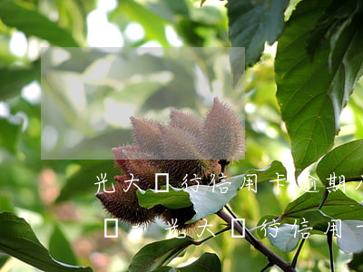 光大銀行信用卡逾期八千會(huì)怎么樣-光大銀行信用卡逾期八千會(huì)怎么樣嗎