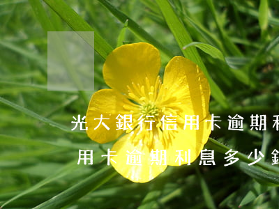 光大銀行信用卡逾期利息多少錢(光大銀行信用卡逾期利息多少錢一天)