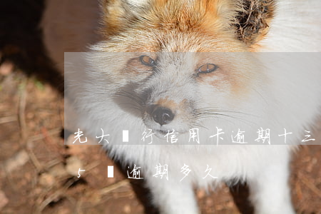 光大銀行信用卡逾期十三萬(光大銀行信用卡5萬逾期多久)