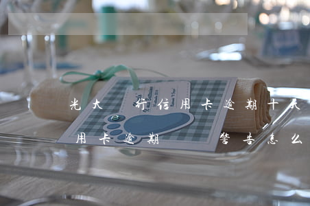 光大銀行信用卡逾期十天還款(被光大銀行信用卡逾期終極警告怎么辦?)