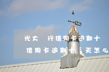 光大銀行信用卡逾期十幾天怎么樣(光大銀行信用卡逾期十幾天怎么樣還款)