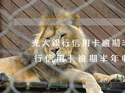 光大銀行信用卡逾期半年收到傳票-光大銀行信用卡逾期半年收到傳票怎么辦
