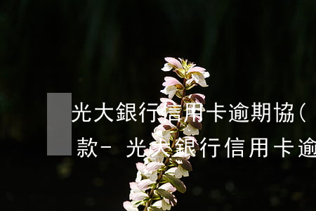 光大銀行信用卡逾期協(xié)商分期還款-光大銀行信用卡逾期協(xié)商分期還款對征信有問題嗎