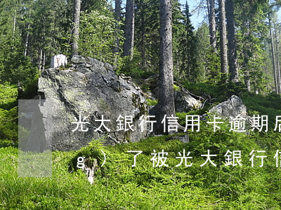 光大銀行信用卡逾期后金額不長(zhǎng)了(被光大銀行信用卡逾期終極警告怎么辦?)